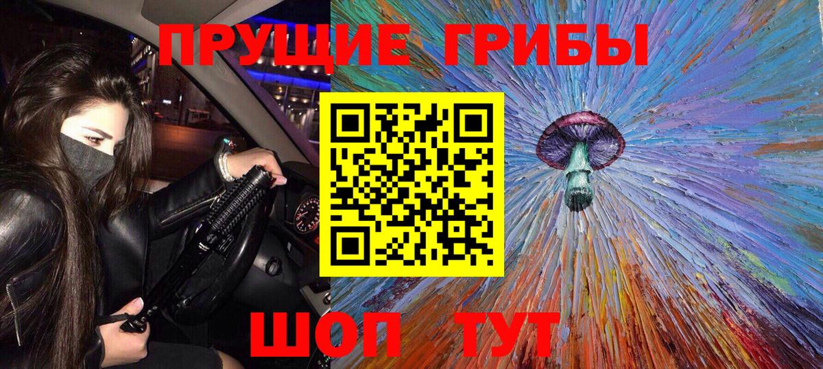 Кировск  Галлюциногенные грибы мицелий  Вход с VPN 